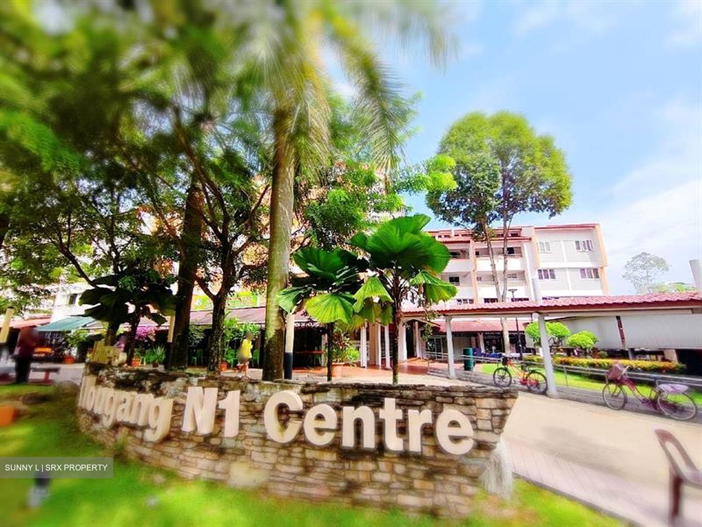 Hougang Avenue 1 (D19), Shop House #603616761